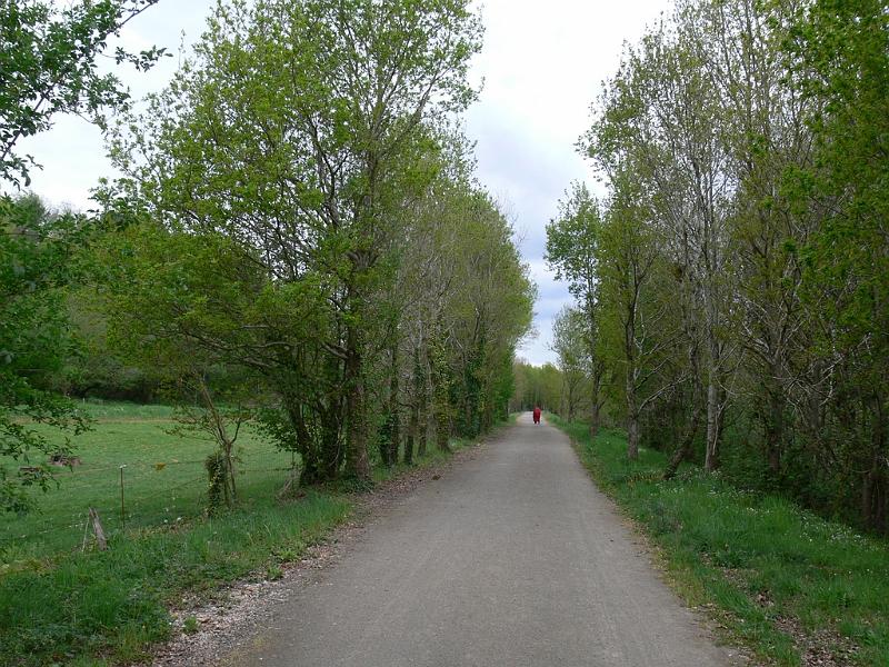 Mont Saint Michel 2010 - 348.jpg